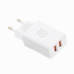 USB charger T55 5V, 3.1A, 2xUSB A 15W+Type-C cable